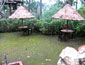 /images/Hotel_image/Munnar/Tall Trees Resort/Hotel Level/85x65/Restaurant_2_Tall-trees,-Munnar.jpg